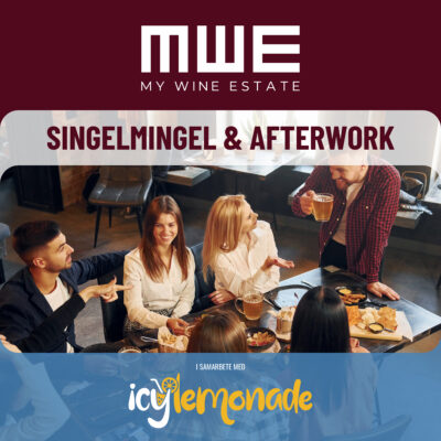 MWE_SM_SINGELMINGEL_AFTERWORK